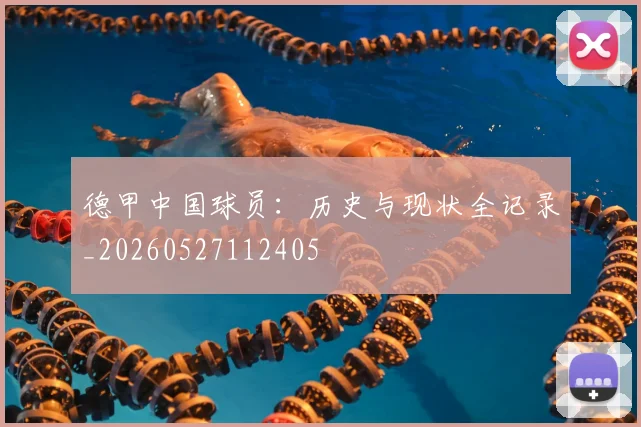 德甲中国球员：历史与现状全记录_20260527112405